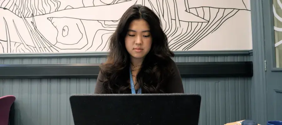 Student sitting at a desk on a laptop.