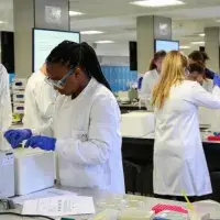 Summer School participants are working on a number of stations in a science lab.