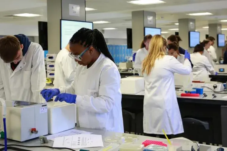 Summer School participants are working on a number of stations in a science lab.