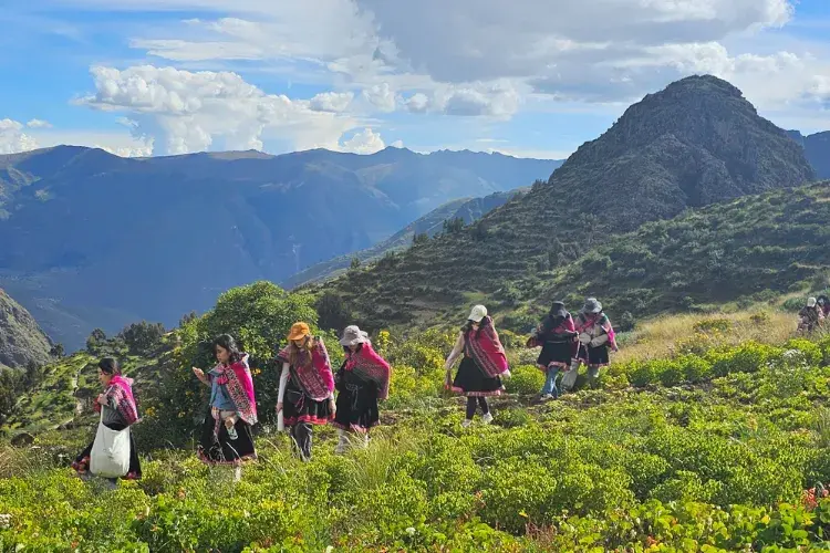 MSc Food Security students during a field trip to Peru.