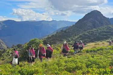 MSc Food Security students during a field trip to Peru.