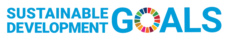 SDG logo